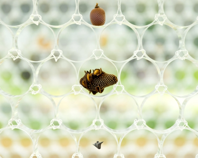 Superficie de tubos acrílicos como soporte de exposición, por +tic - Arte Y Arquitectura