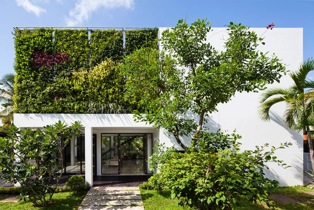 Thao Dien 住宅 / MM++ architects - 独立住宅