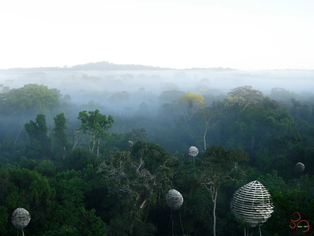 Segundo Lugar en Concurso de Ideas Nature Observatory of Amazonia (NOA) / Brasil  - Centro De Visitantes