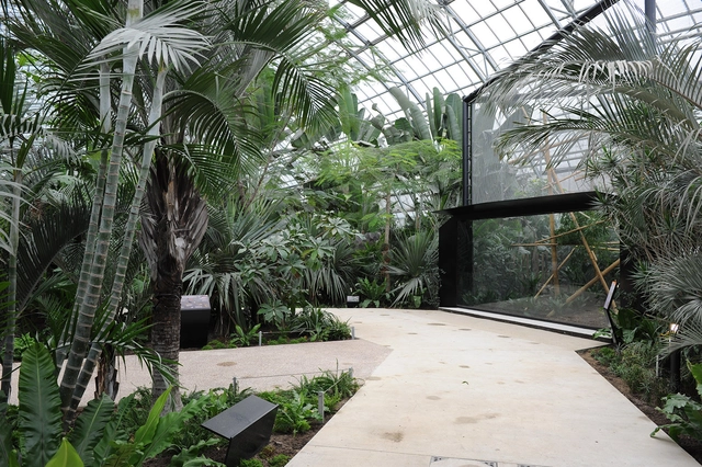 Paris Zoological Park / Bernard Tschumi Urbanists Architects + Veronique Descharrieres - Zoo, Garden, Arch, Facade, Forest
