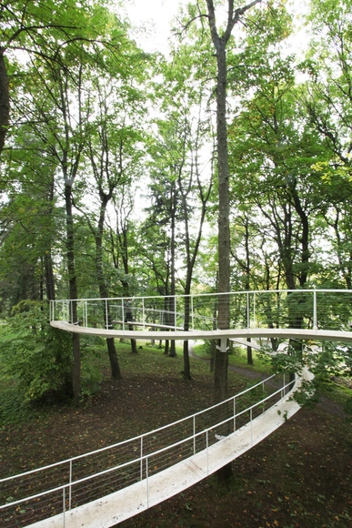Un camino en el bosque / Transsolar & Tetsuo Kondo Architects - Puentes