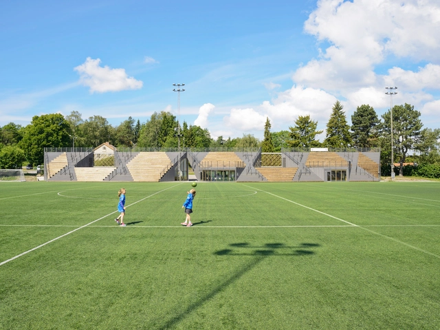 Estadio de Fútbol Lidingövallen / DinellJohansson - Estadio De Fútbol