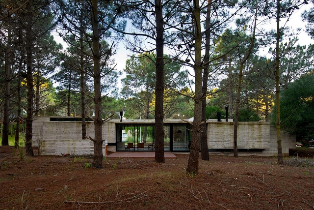 Casa SV / Luciano Kruk Arquitectos - Casas, Fachada, Bosque