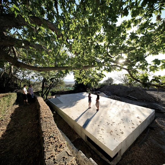 "Viaje al Interior de un Huerto": huerto colectivo, parque y espacio escénico - Sustentabilidad