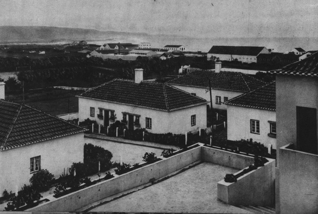 All quiet on the western front  / José António Bandeirinha - Imagem de Destaque
