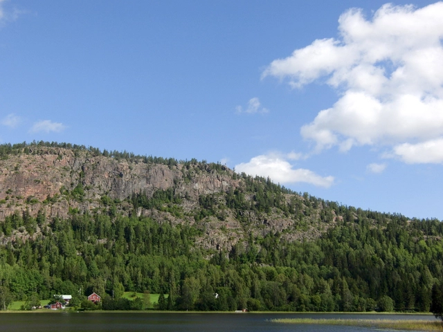 Call For Proposals: Hello Nature! - Featured Image