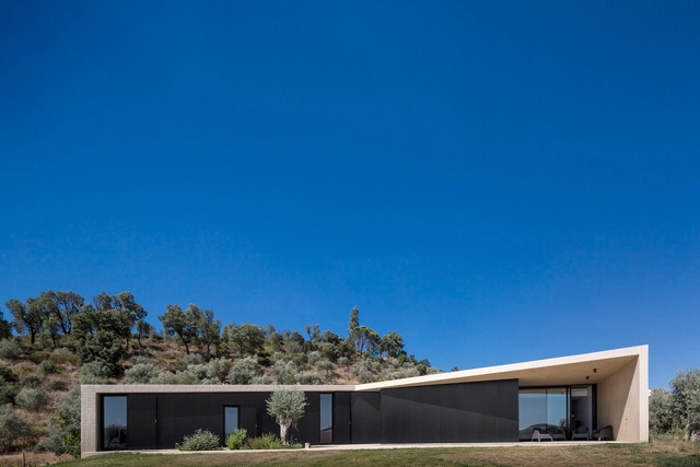 Casa Tomar Hill / Contaminar Arquitectos - Casas