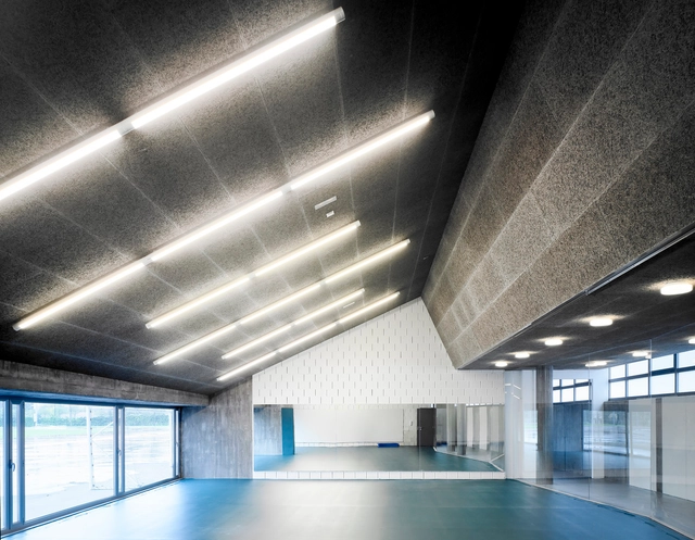 Gimnasio UDC Bajo Gradas / GLF Arquitectos - Gimnasio