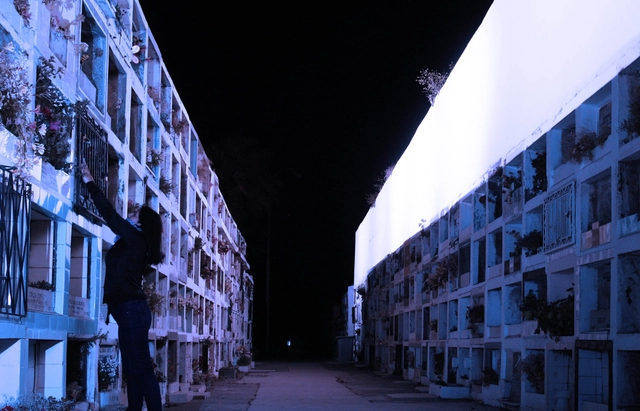 Proyecto de iluminación para el Cementerio de Quillota - Imagen Principal
