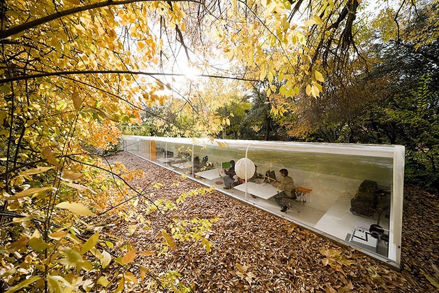 El trabajo de SelgasCano, los arquitectos españoles del Serpentine Pavilion 2015 - Imagen Principal