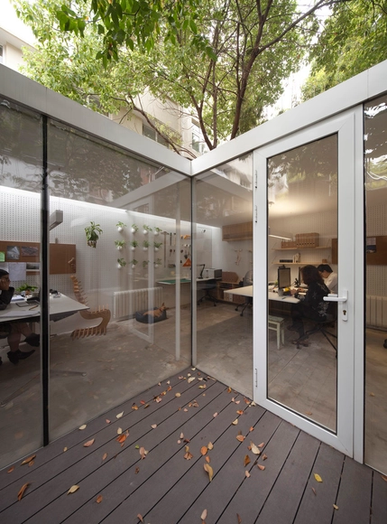 Oficina alrededor de un árbol / Lukstudio - Interiores De Oficina
