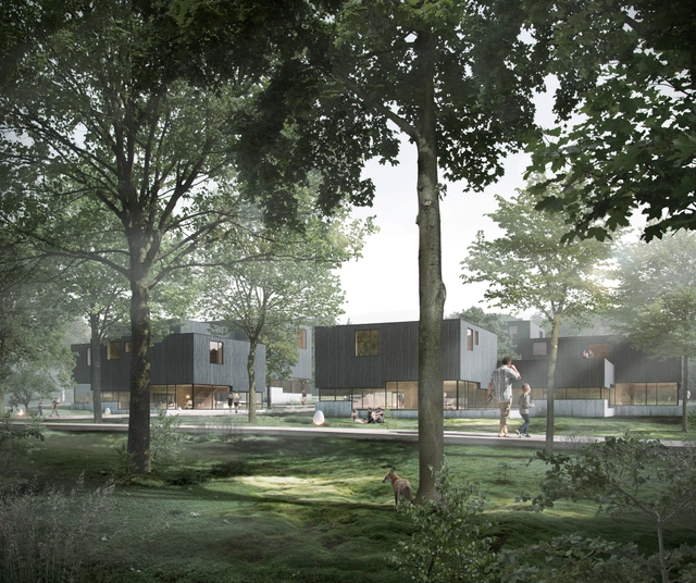 Friis & Moltke diseñan complejo habitacional bajo el concepto del bosque escandinavo - Vivienda Colectiva