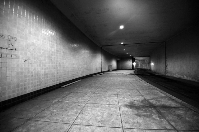 Nonprofit Group ACDU Seeks to Transform Abandoned D.C. Trolley Station - Featured Image
