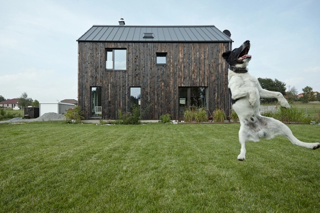 Casa Dox / Mjölk architekti - Casas