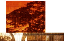 Marcio Kogan - Imagen Principal