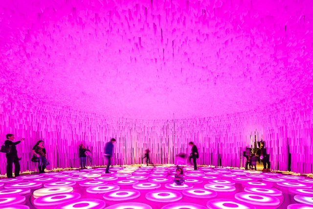 wonderWALL / LIKEarchitects - Pabellón