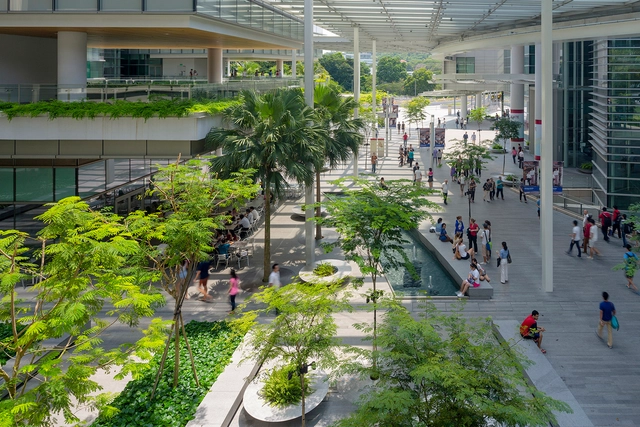 CREATE - Campus for Research Excellence and Technological Enterprise / Perkins+Will - Centro De Investigación