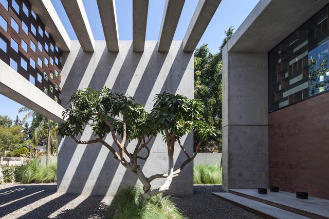 In Praise of Shadows / Pitsou Kedem Architects - Houses, Garden, Facade