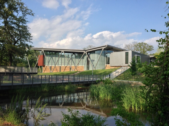 Biblioteca infantil CALS / Polk Stanley Wilcox Architects - Bibliotecas