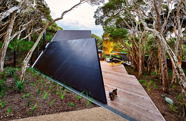 Cabana 2 / Maddison Architects - Ampliação