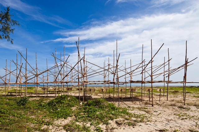Parque Dragonfly / V-architecture - Pabellón
