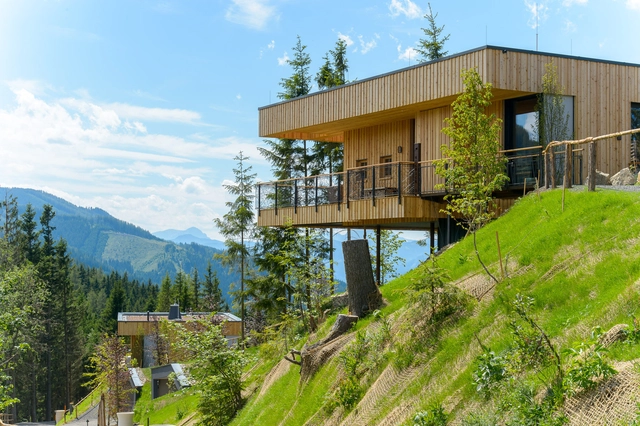 Cabañas Deluxe de Montaña / Viereck Architects - Casas