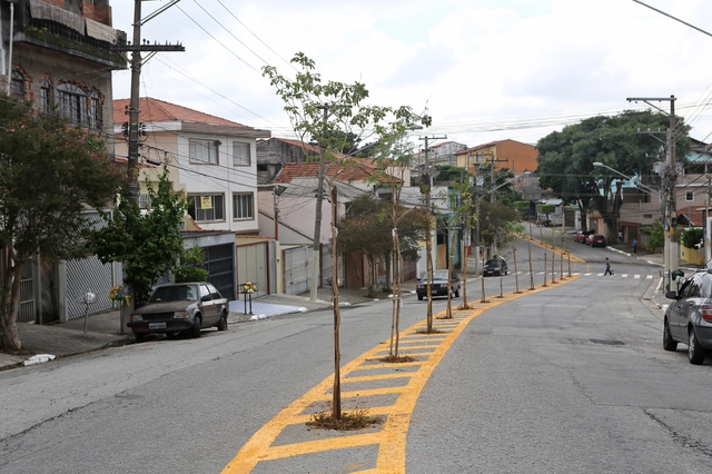 Prefeitura de São Paulo testa novas alternativas para o plantio de árvores no ambiente urbano - Imagem de Destaque