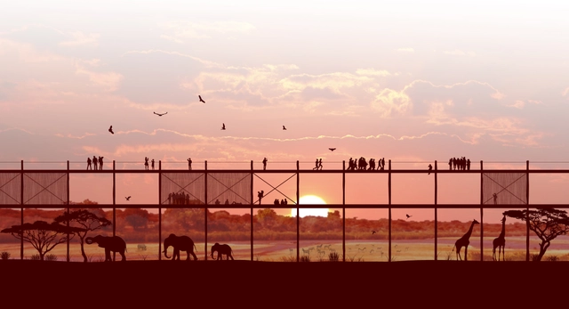 Propuesta WALK!, primer lugar en concurso IWC África / Sudáfrica - Centro De Visitantes