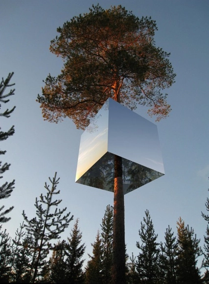 Archivo: Casas en el Árbol - Imagen Principal