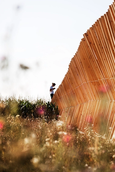 Playing with Balance and the Balance of Play: Hello Wood's 2014 Camp - Featured Image