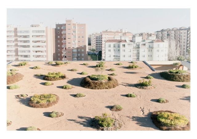 Paisaje y Arquitectura: Parque, jardines y cubierta verde de Caja Badajoz por Cjcpaisaje - Paisaje Y Arquitectura