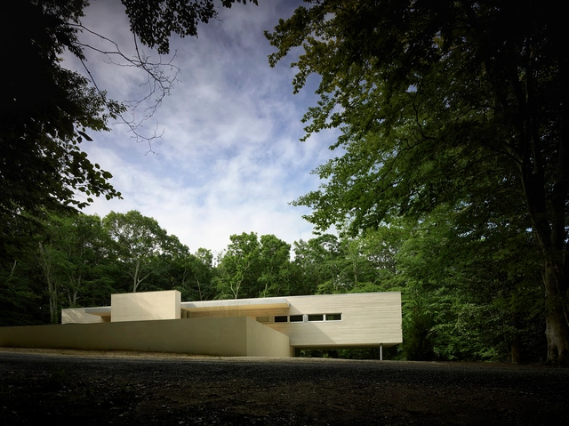 Residência dos Bosques Verdes / Stelle Lomont Rouhani Architects - Casas