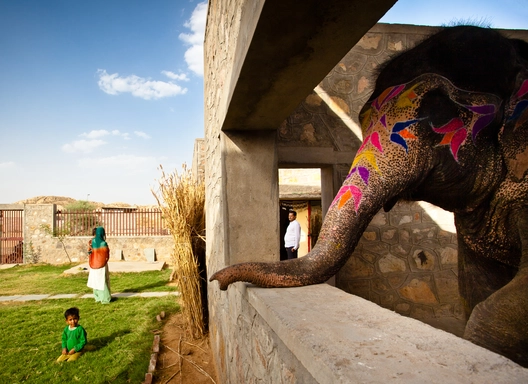 Archivo: Animales y Arquitectura - Imagen Principal