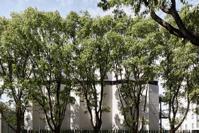 Armani Silos / Giorgio Armani - Renovación
