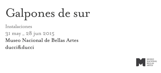 Galpones del Sur / intervención en el Museo de Bellas Artes de Santiago - Imagen Principal