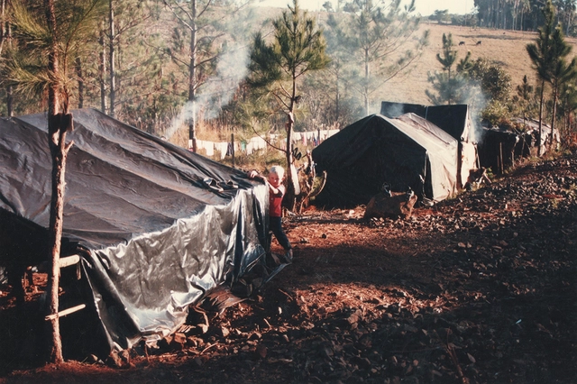 USINA 25 anos - Cidade da Reforma Agrária - Imagem de Destaque