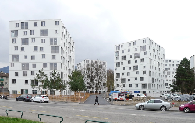 Vivienda social La Fontenette / frundgallina - Vivienda Social