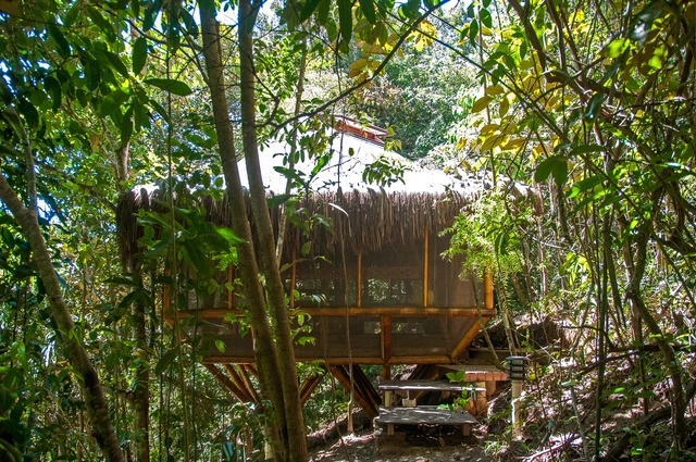 Hostal y Centro de Capacitación / IR arquitectura - Hostal, Jardín, Bosque
