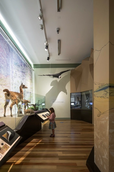 Museografía  Museo de Historia Natural Valparaíso  / SUMO arquitectura y diseño - Museo, Escaleras, Barandas