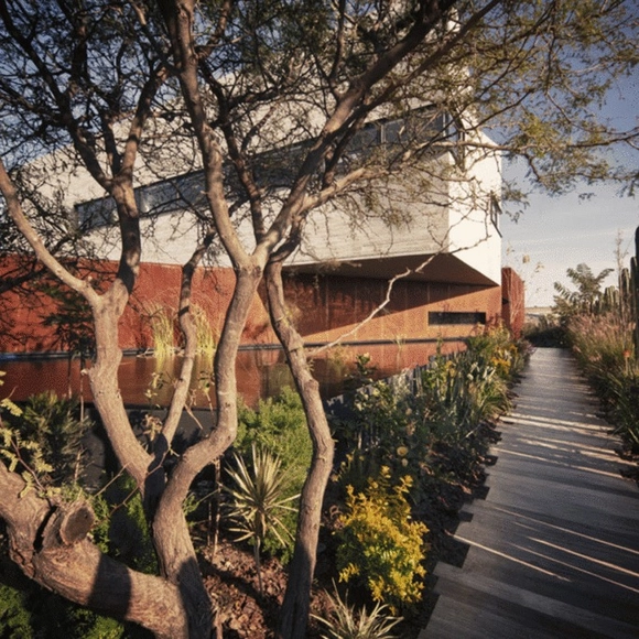 CEMEX Announces Mexican Premio Obras Finalists - Featured Image