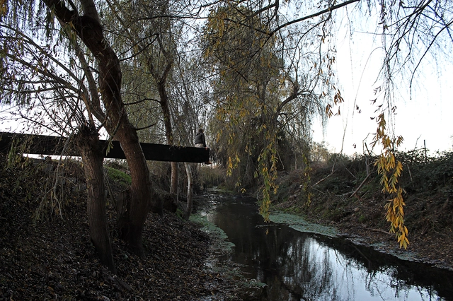 Paisaje y Arquitectura: “Escaño de Agua” la reconversión de un borde abandonado en Curicó, Chile - Paisaje Y Arquitectura