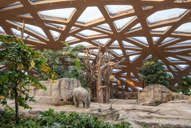 Casa del Elefante Zoo Zürich / Markus Schietsch Architekten - Zoológico