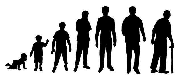 RIBA London Seminar: The Seven Ages of Practice - Featured Image