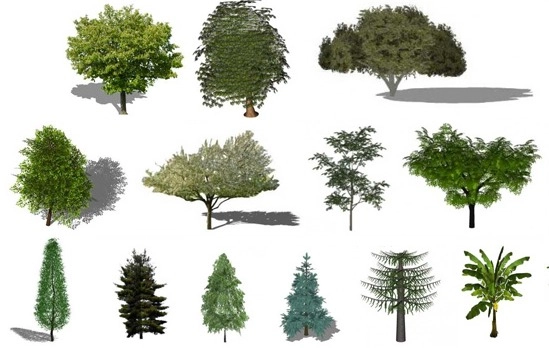 OneCommunity disponibiliza uma biblioteca de vegetação para o SketchUp - Imagem de Destaque