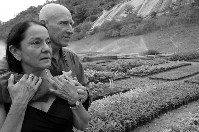 Instituto Terra: a ONG de Sebastião Salgado no Vale do Rio Doce - Sustentabilidade