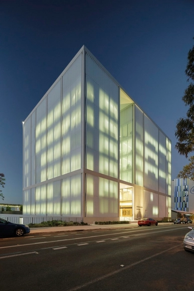 Instituto Westmead Milenio / BVN - Universidad