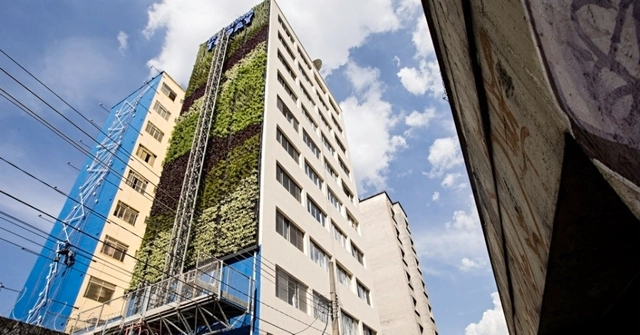 Primeiro jardim vertical nos arredores do Minhocão está prestes a ser concluído - Imagem de Destaque