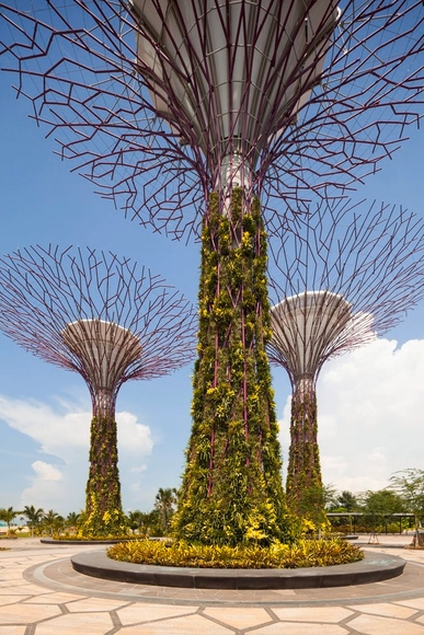 Gardens by the Bay / Grant Associates - Paisaje Y Arquitectura