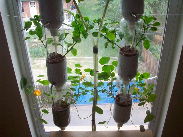 Windowfarms: Huertas inteligentes al interior de los edificios - Imagen Principal