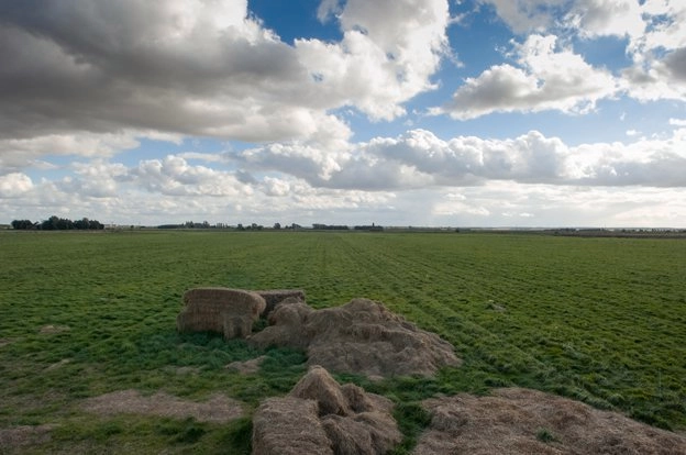 RIBA Design Ideas Competition: Great Fen Visitor Centre - Featured Image